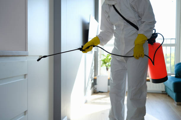 Best Mold Cleaning Services  in New York, NY