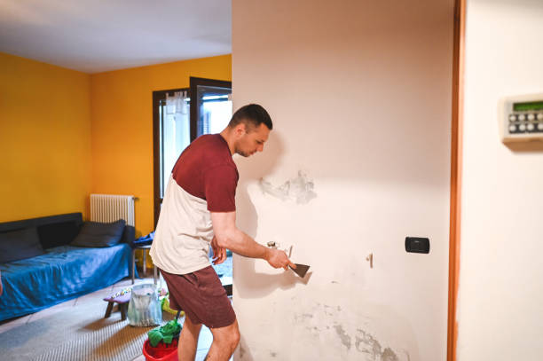Best Commercial Mold Removal  in New York, NY
